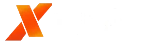 x365